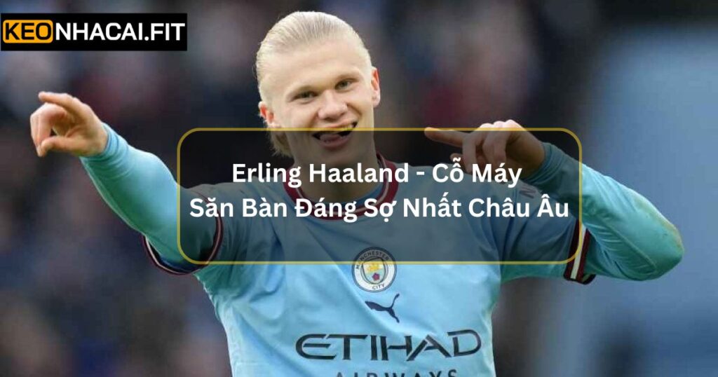 Erling Haaland - Cỗ Máy Săn Bàn Đáng Sợ Nhất Châu Âu 4 Erling Haaland - Cỗ Máy Săn Bàn Đáng Sợ Nhất Châu Âu