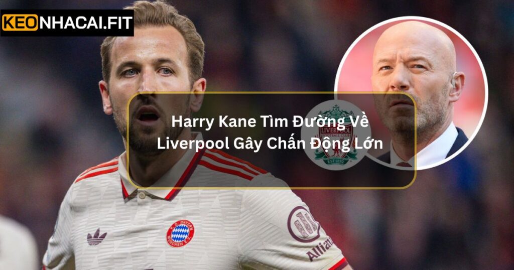 Harry Kane Tìm Đường Về Liverpool Gây Chấn Động Lớn 6 Harry Kane Tìm Đường Về Liverpool Gây Chấn Động Lớn