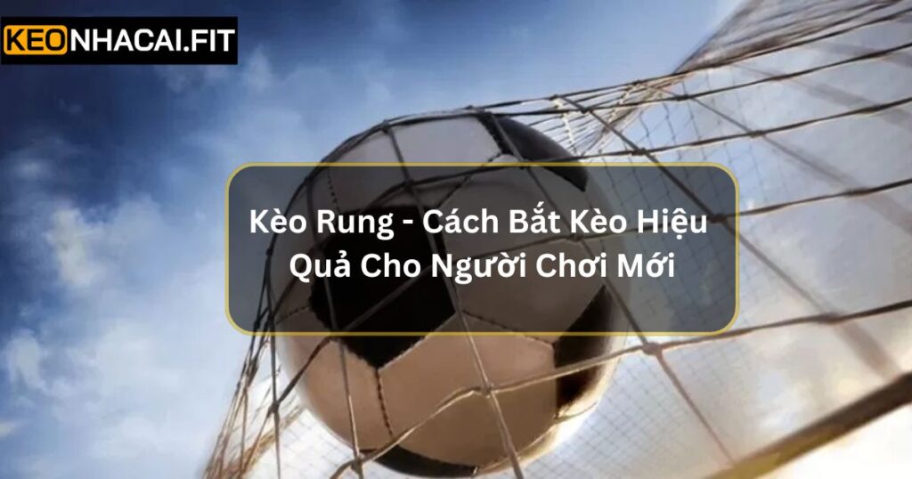 Kèo Rung - Cách Bắt Kèo Hiệu Quả Cho Người Chơi Mới 7 Kèo Rung - Cách Bắt Kèo Hiệu Quả Cho Người Chơi Mới