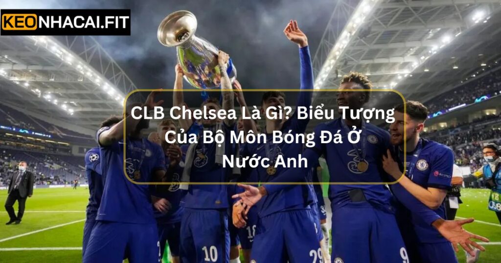 CLB Chelsea Là Gì? Biểu Tượng Bộ Môn Bóng Đá Tại Nước Anh 4 CLB Chelsea Là Gì? Biểu Tượng Bộ Môn Bóng Đá Tại Nước Anh