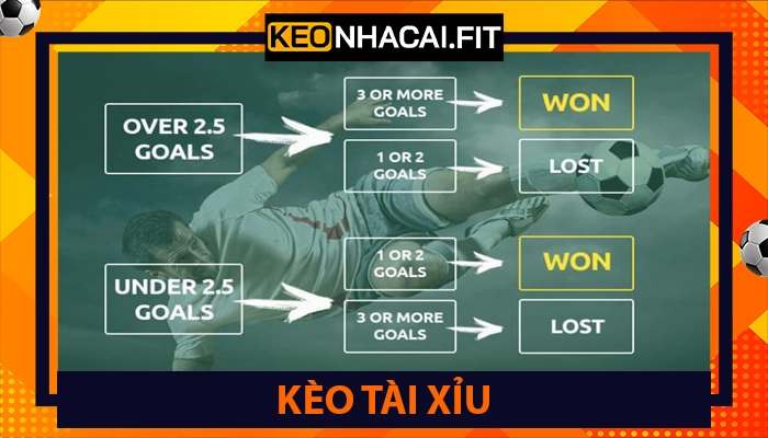 Kèo Nhà Cái Fit ⭐ Tỷ Lệ keonhacai 5, Kèo Bóng Đá Trực Tuyến Hôm Nay 24 Kèo tài xỉu