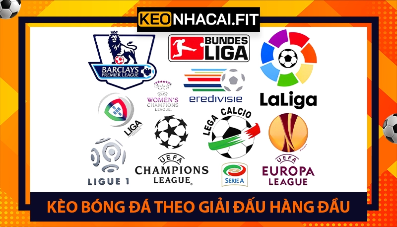 Kèo Nhà Cái Fit ⭐ Tỷ Lệ keonhacai 5, Kèo Bóng Đá Trực Tuyến Hôm Nay 25 Kèo bóng đá trực tuyến theo giải đấu hàng đầu 2026
