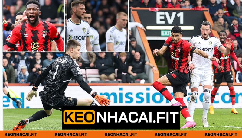Nhận Định AFC Bournemouth Vs Leeds United Lúc 02:00 Ngày 23/04 - Premier League 2 So sánh về hiệu suất của AFC Bournemouth vs Leeds United
